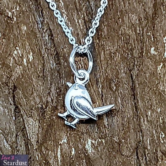 ROBIN Sterling Silver Necklace